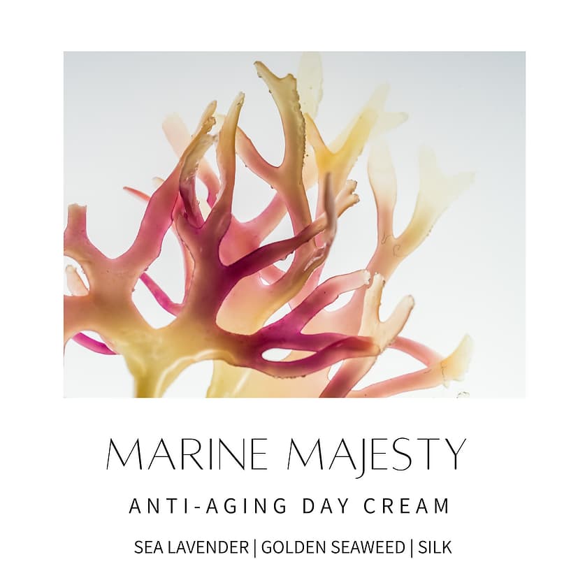 MARINE MAJESTY ANTI-AGING DAY CREAM